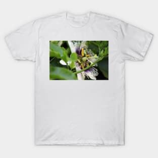 Passion Flower Closeup T-Shirt